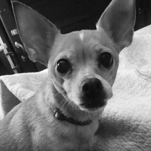 Meet your Posher, Amy